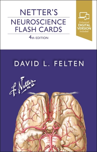 Netters Neuroscience Flash Cards - Image 5
