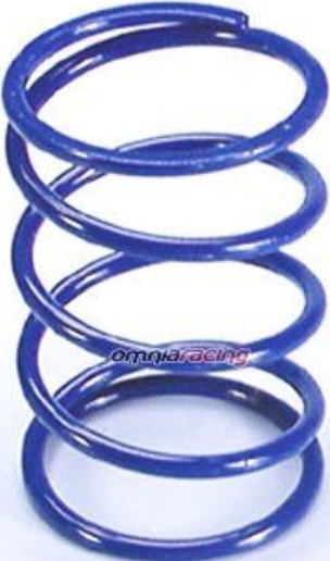 Polini Contrast Spring Honda Foresight 250 (243073) For Motorcycle Parts