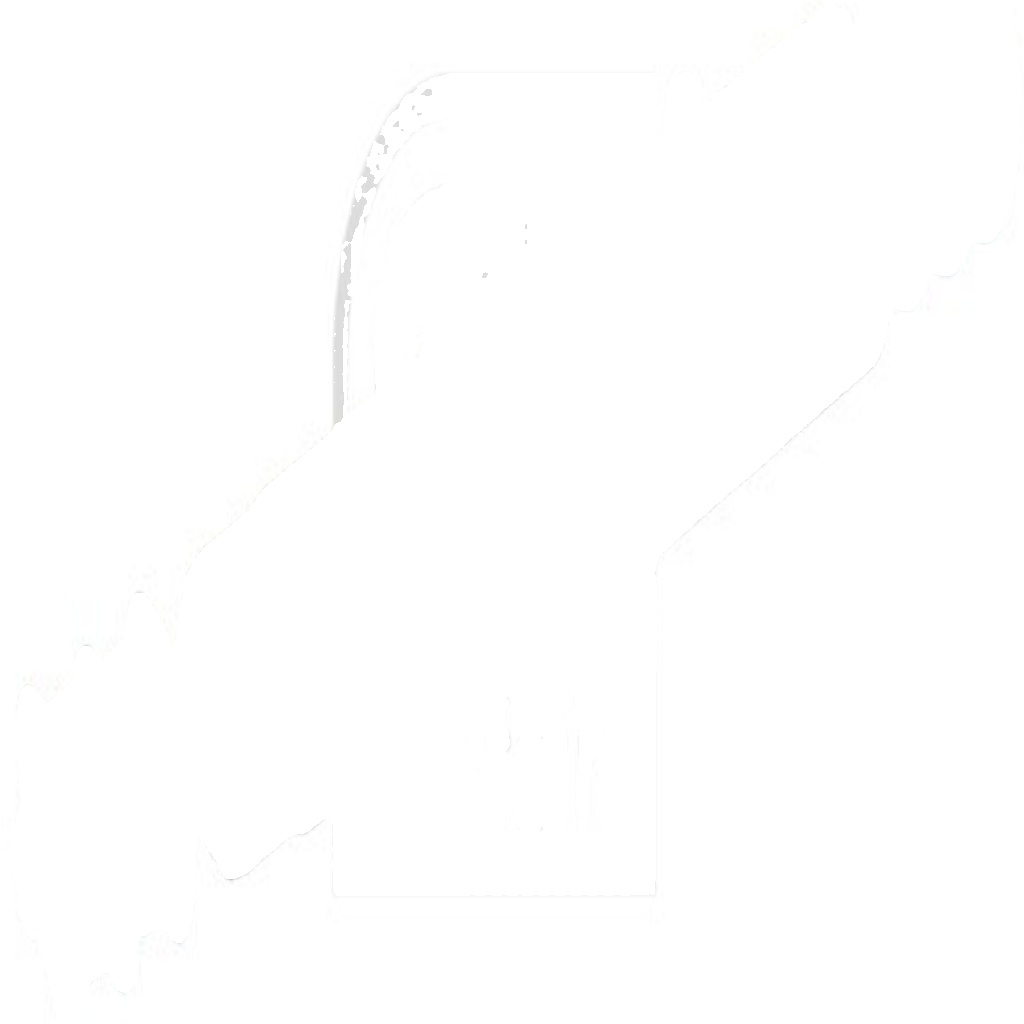 Febi Bilstein Shock Absorber - 20428