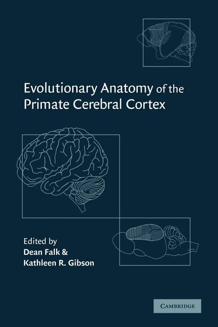 Evolutionary Anatomy of the Primate Cerebral Cortex Falk Gibson Paperback