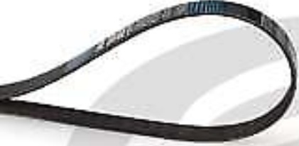 Multi-ribbed V-belt kit K016PK1915 GATES for FORD FOCUS I FOCUS I Saloon