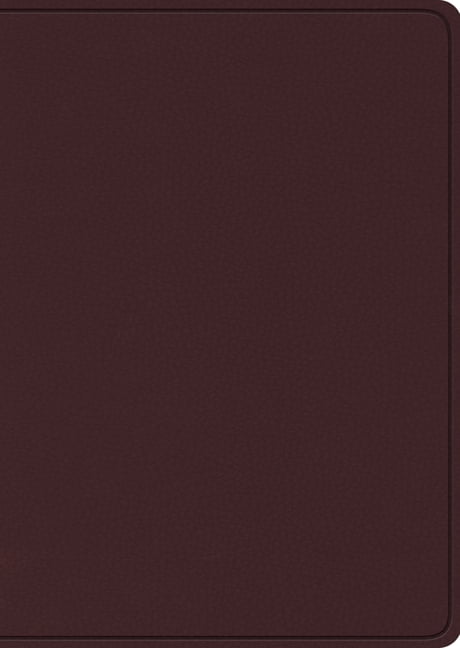 ESV Study Bible, Large Print - 9781433575938