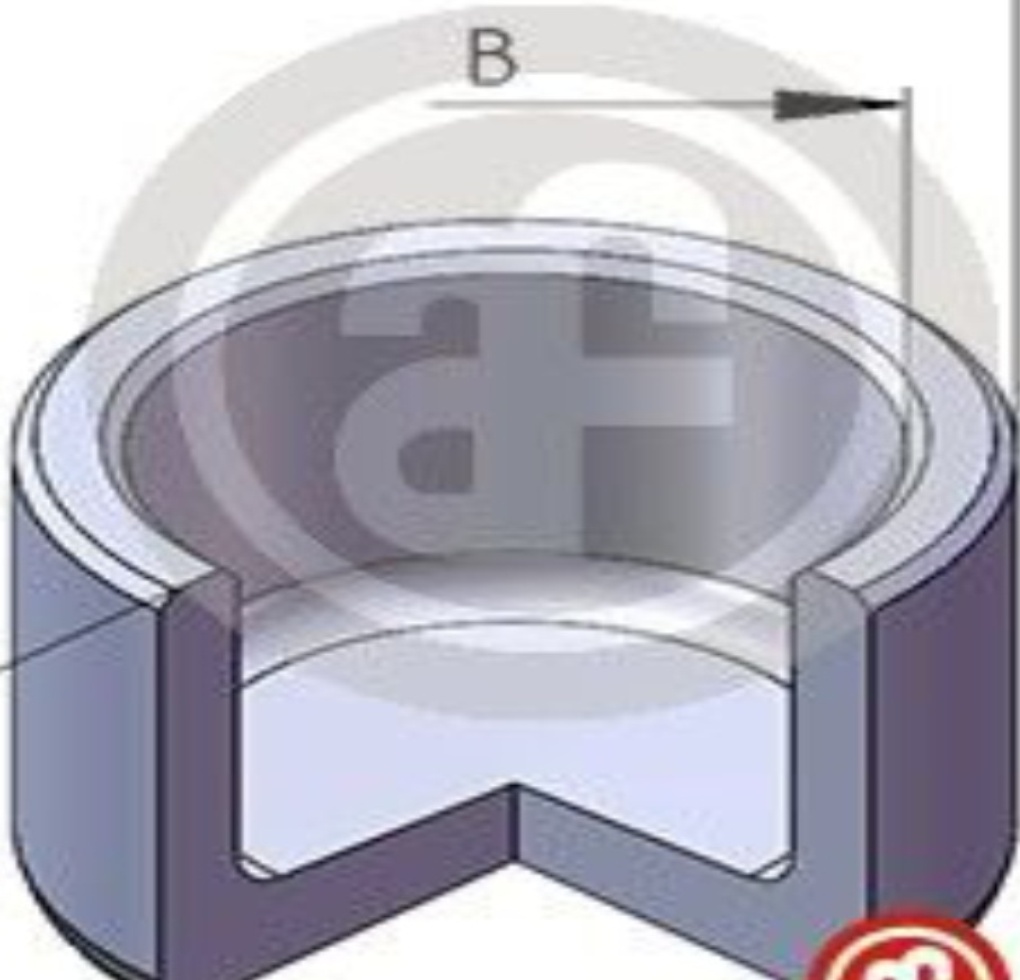 Rear AUTOFREN SEINSA D025725 Piston, brake caliper for CITROËN,ISUZU