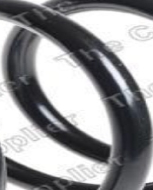 Front LESJÖFORS 4062071 Suspension Spring for NISSAN