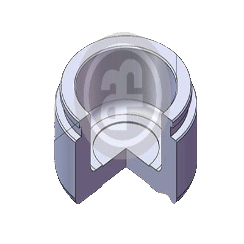 Front AUTOFREN SEINSA D025578 Piston, brake caliper for NISSAN,SUBARU