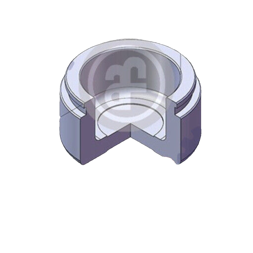 AUTOFREN SEINSA D025772 Piston, brake caliper for HONDA