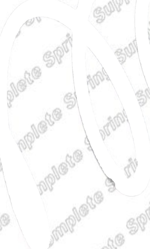 Suspension Coil Spring Front Durable Sturdy Fits Peugeot 308 CC KILEN 21105