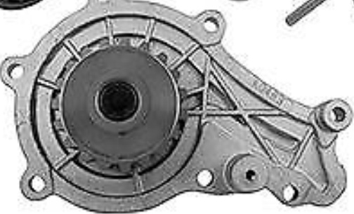 Timing Belt Kit + Water Pump KTBWP9170 DAYCO for FORD CITROËN PEUGEOT DS OPEL