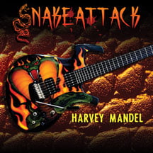 Harvey Mandel - Snake Attack [VINYL]