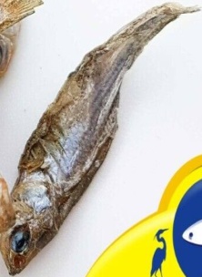 HERONS Dried Whole Sprats 1kg 100% NATURAL BARF Dog Puppy Fish Treats OMEGA 3 6