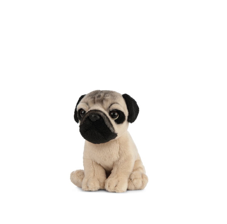 Pug Fawn Puppy Dog Plush Soft Toy - 16cm - Living Nature NEW