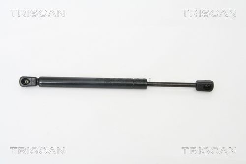Triscan Gasfeder, Koffer-/Laderaum [Hersteller-Nr. 871029259] für Audi - Bild 2