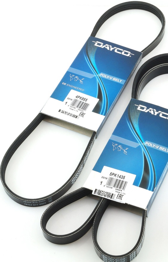 DAYCO 5PK1435 V-Ribbed Belt for AUDI,FIAT,SKODA,VW