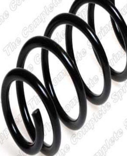 Rear LESJÖFORS 4204224 Suspension Spring for AUDI,KIA - Image 5