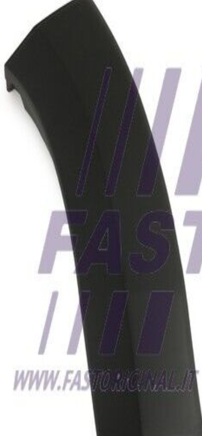 FAST FT90890 Trim/Protective Strip, wing for CITROËN,FIAT,PEUGEOT