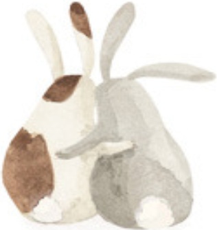 Blank Card Big Hugs Rabbit