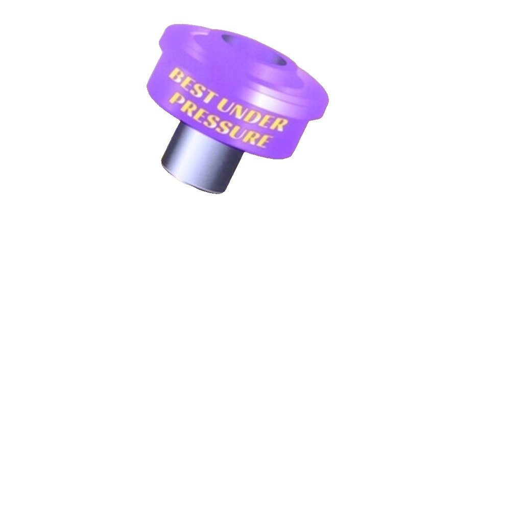 Powerflex Rr Upr Wishbone Inner Bushes for BMW Z4M E85 E86 (06-09) PFR5-4617
