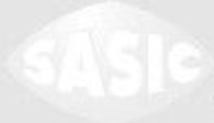 SASIC 8173303 Tie Rod End for CITROËN,PEUGEOT