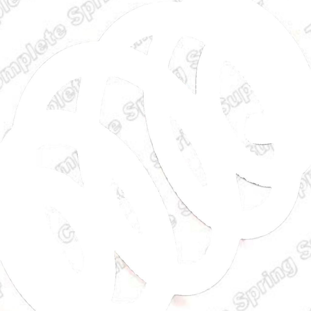 REAR COIL SPRING FOR BMW 3