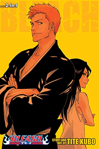 Bleach (2-in-1 Edition), Vol. 25 Volume 25