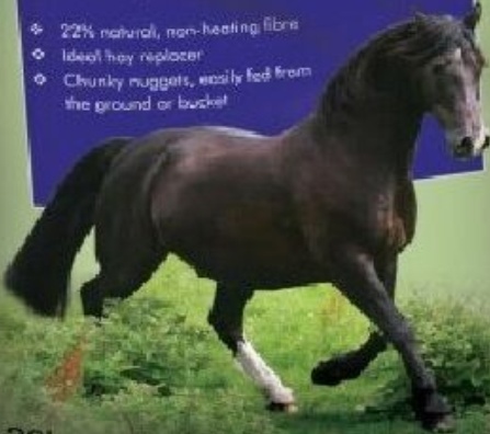 20KG BAILEYS FIBRE PLUS NUGGETS Horse Feed /Great As Boredom Breaker Food Treats