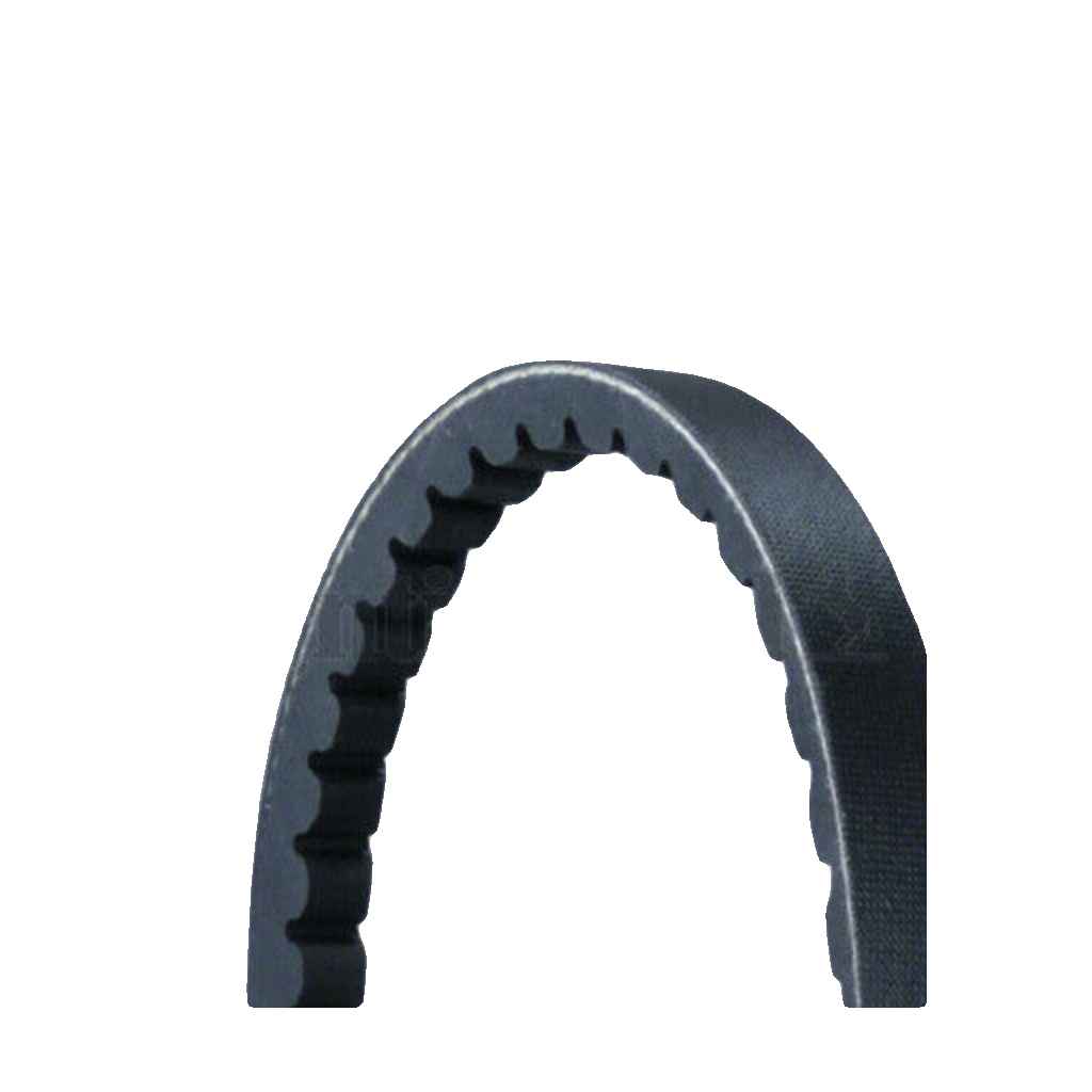 AVX13X1290 CONTINENTAL CTAM V-Belt for MAN,MERCEDES-BENZ
