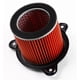 Hi-Flo Air Filter - HFA1705