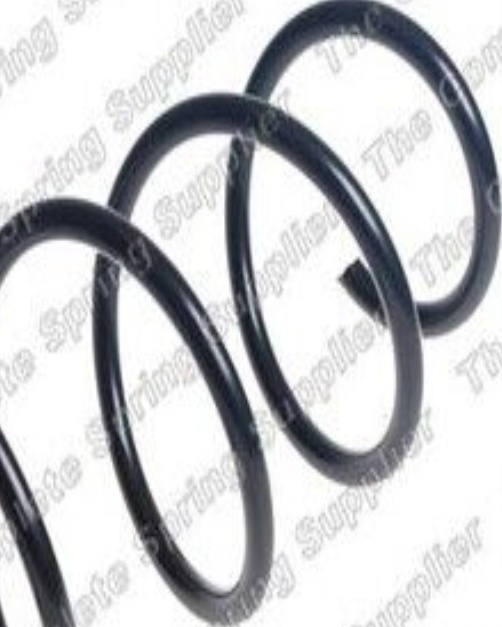 2x Suspension Coil Spring Front Long Life Fits Citroen Opel Vauxhall ROC CS9163