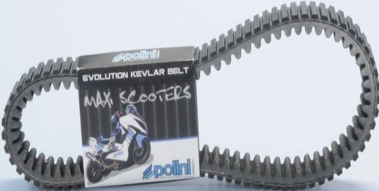 Free Shipping Polini Evolution Aramid Transmission Belt Minarelli Horizontal