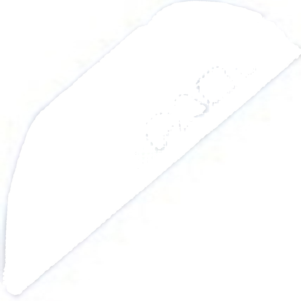 EDS-VW-037 NTY Washer Fluid Jet, windscreen for AUDI,VW