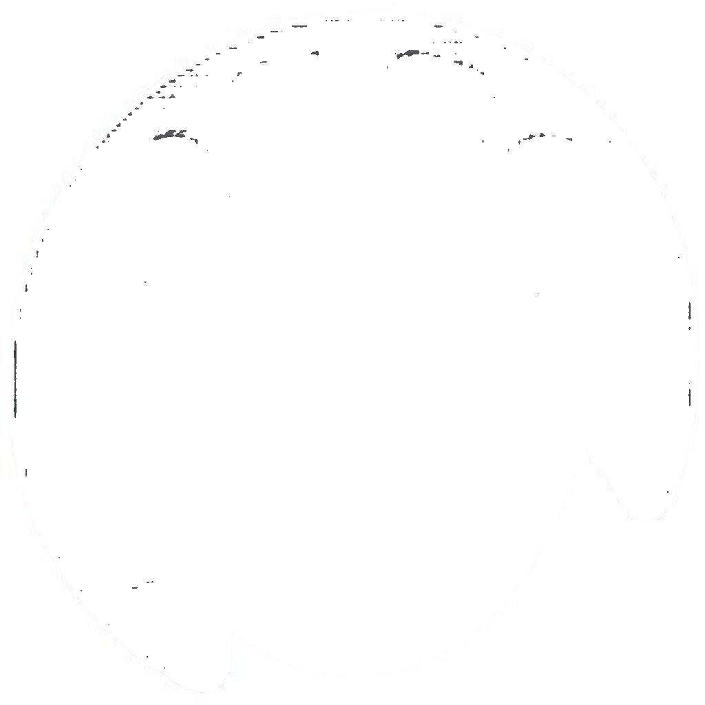 11041 A.B.S. Splash Panel, brake disc for VW