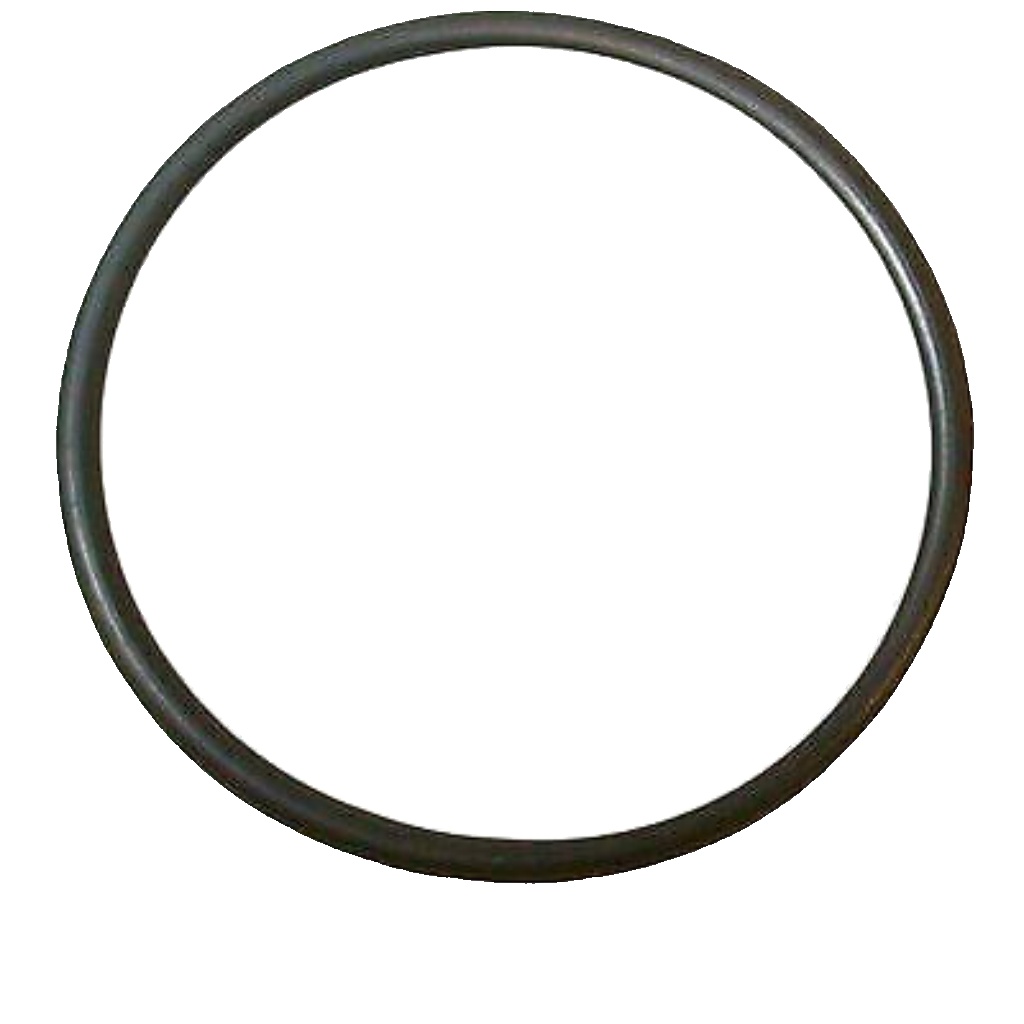 GASKET COOLANT FLANGE 1119606400 FOR SEAT AUR/AEH/APF 1.6L 4cyl IBIZA II