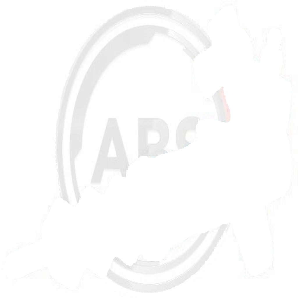 Original A.B.S. Clutch Slave Cylinder 72066 for Mitsubishi PROTON