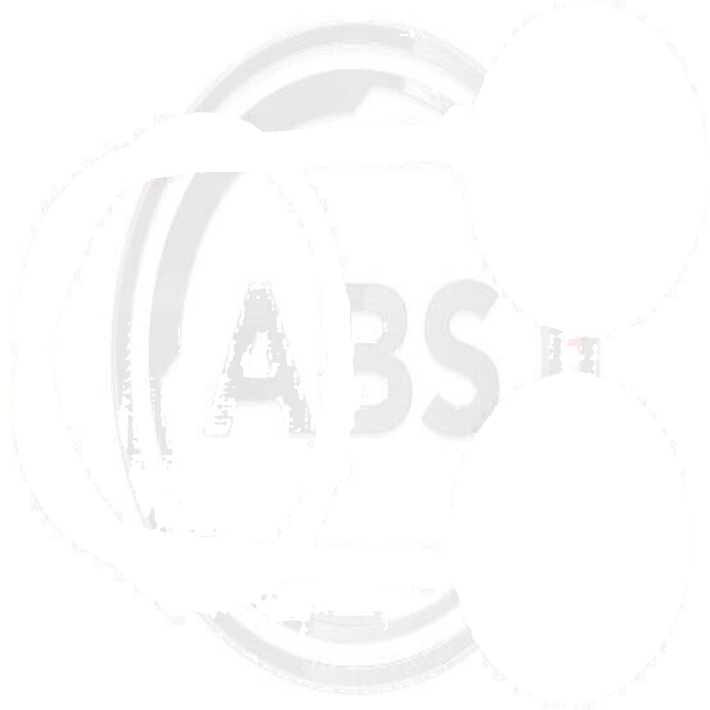 K16898 A.B.S. Cable, parking brake for FORD