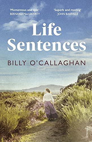 Life Sentences: The unforgettable Irish bestseller - Image 3