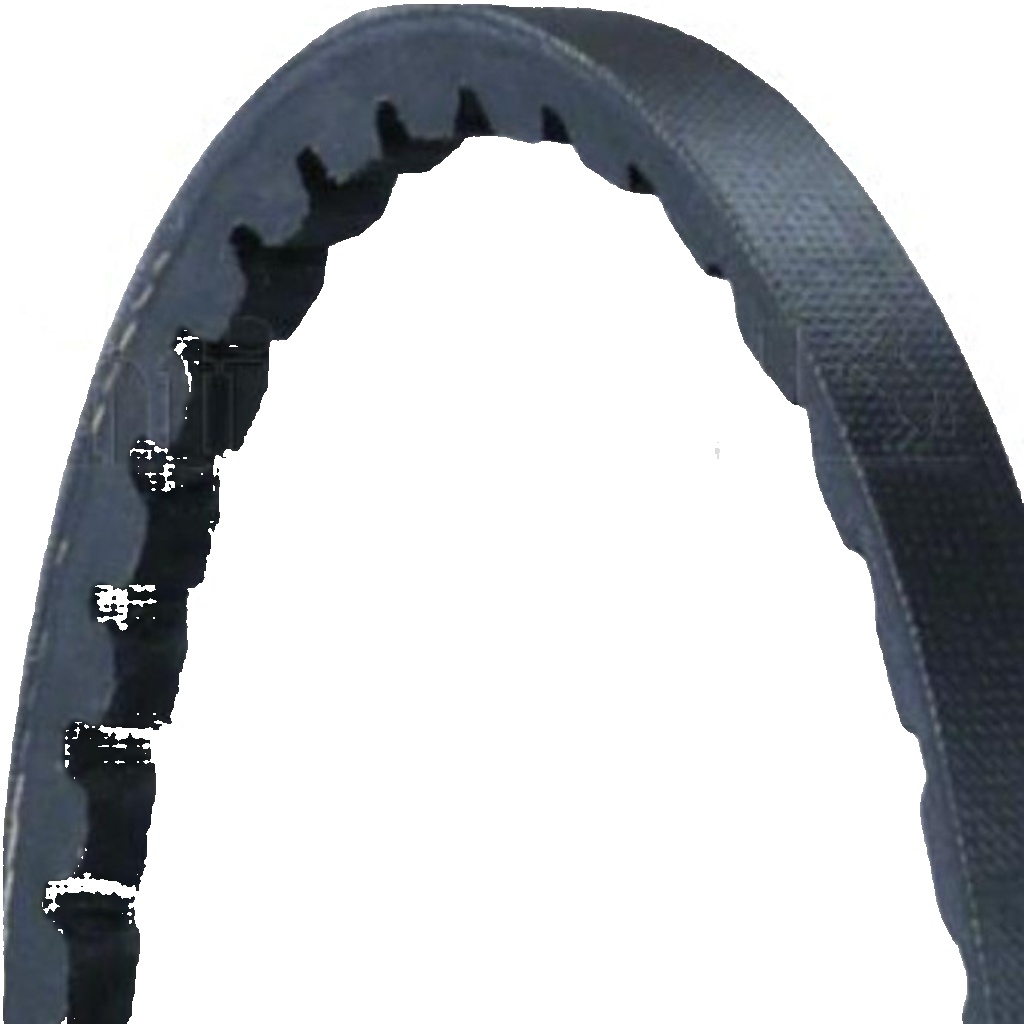 AVX10X785 CONTINENTAL CTAM V-Belt for ALFA ROMEO,AUDI,DAIHATSU,FORD,HONDA,MAZDA,