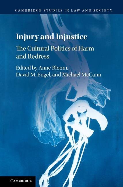 Injury Injustice Cultural Politics Harm Redress Hardcover 9781108420242 VG