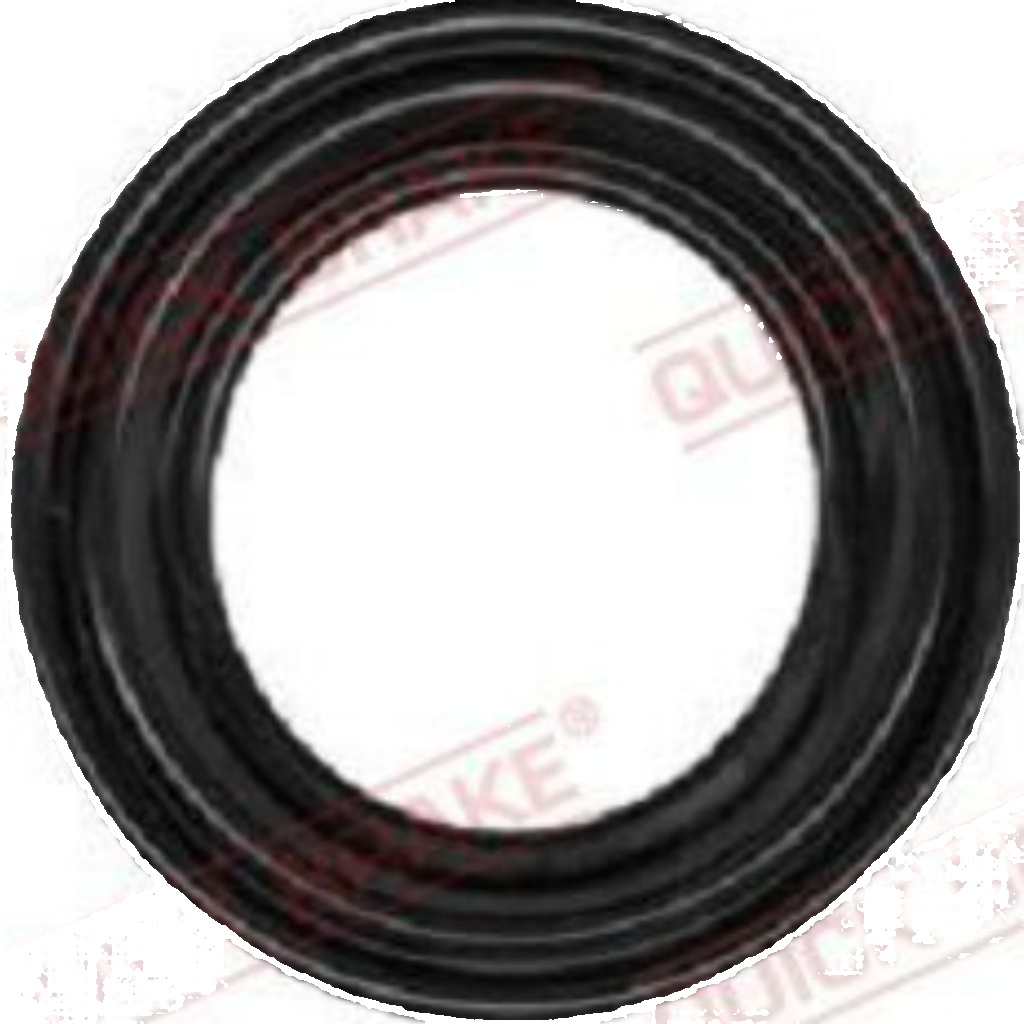 Quick Brake Caliper Repair Kit 114-0003
