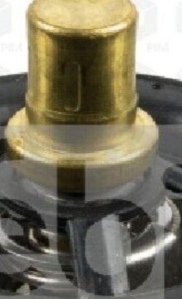 Febi Bilstein Thermostat 173719 - OEM Quality for DAF - Precision Fitment