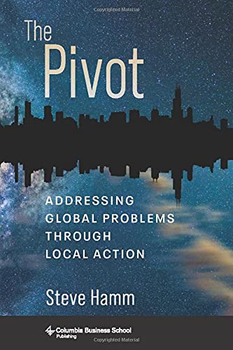 The Pivot Addressing Global Problems Through Local Action by Steve Hamm HARDBACK