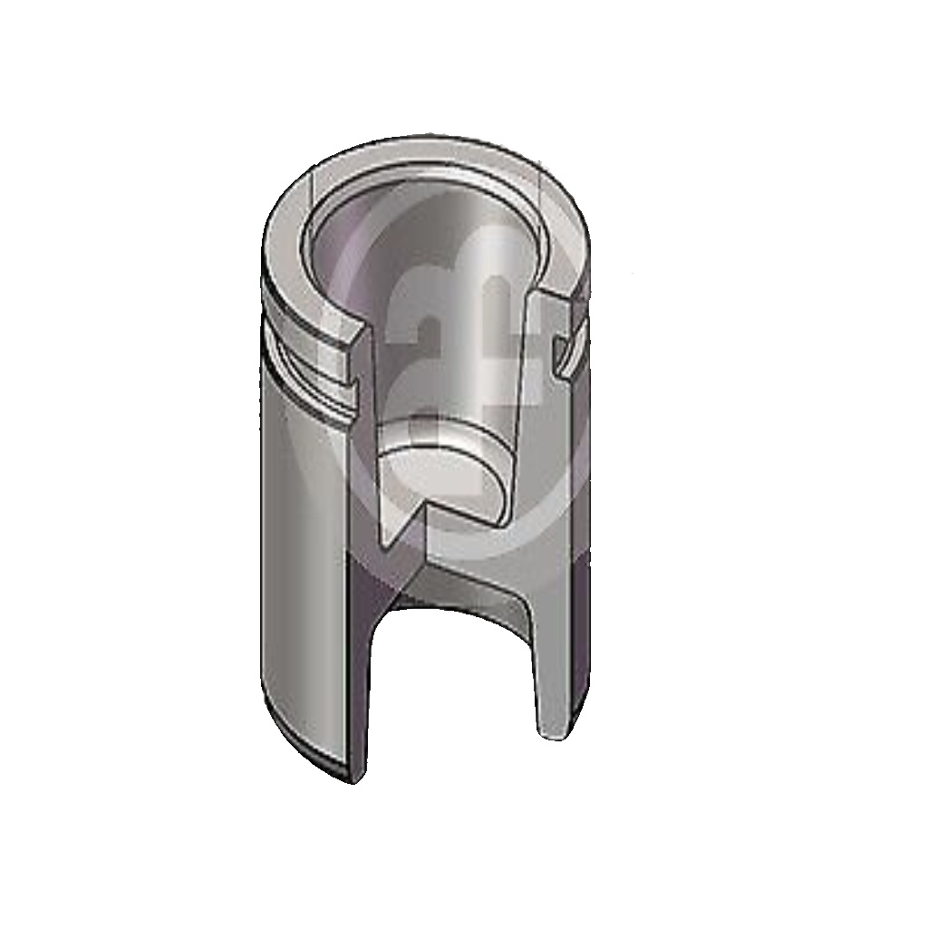 Rear AUTOFREN SEINSA D025784 Piston, brake caliper for TOYOTA