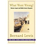What Went Wrong?
