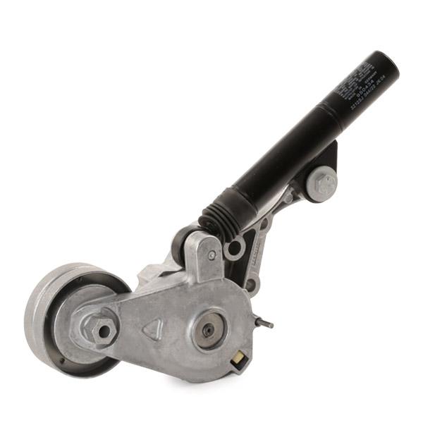 Aux Belt Tensioner 533008130 INA Drive V-Ribbed 038903315C Quality Guaranteed
