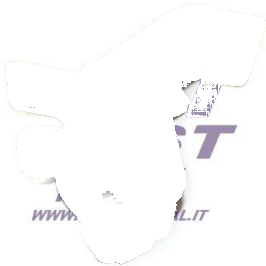 FT95576 FAST Roller Guide, sliding door for RENAULT