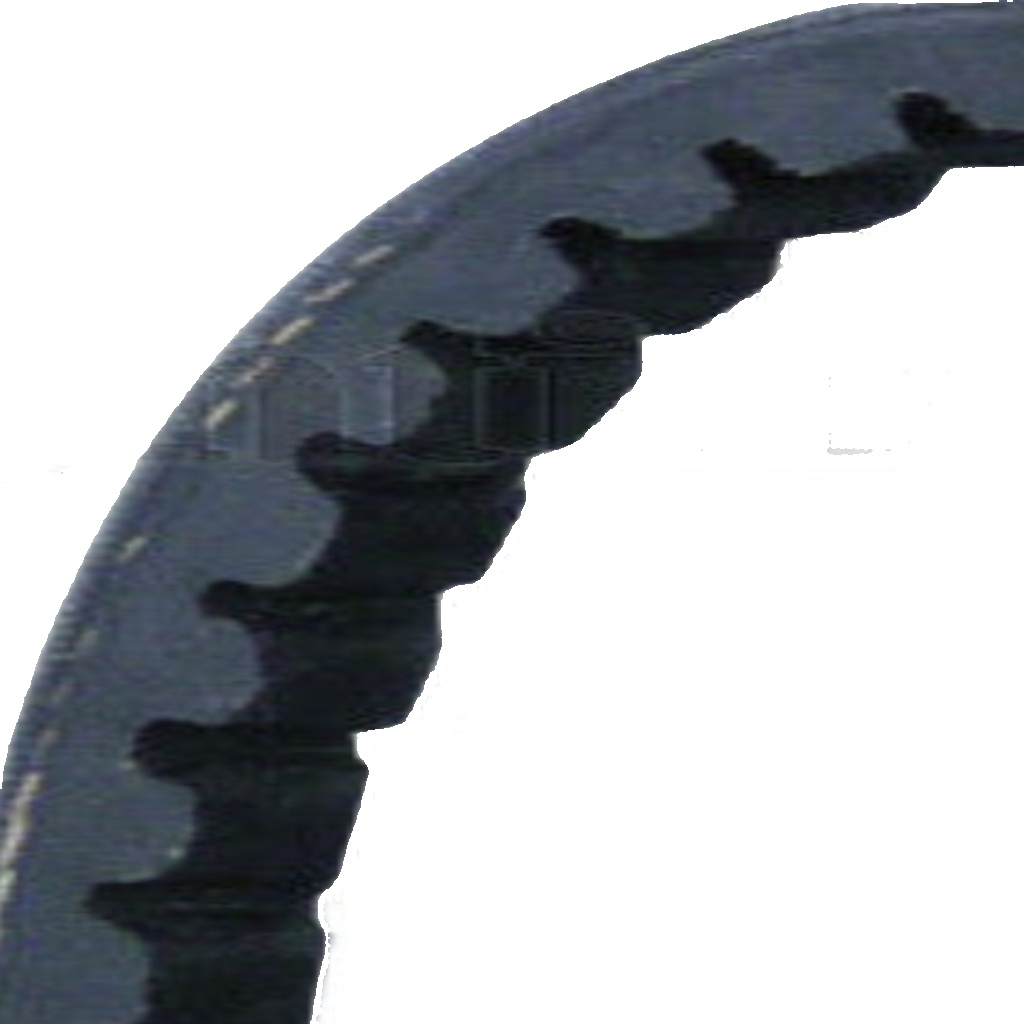 AVX10X725 CONTINENTAL CTAM V-Belt for ALFA ROMEO,ALPINE,AUDI,BMW,CITROËN,DAF,FIA