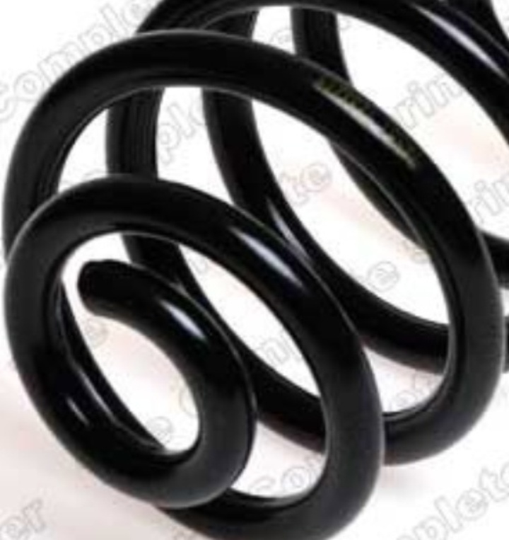 Suspension spring Rear Axle Coil spring with constant wire diameter 4272924