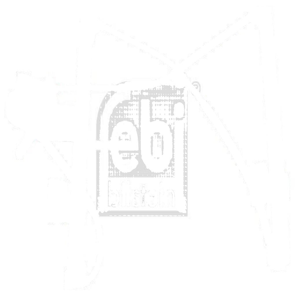 FEBI BILSTEIN WINDOW REGULATOR LEFT FRONT SEAT VW AROSA LUPO