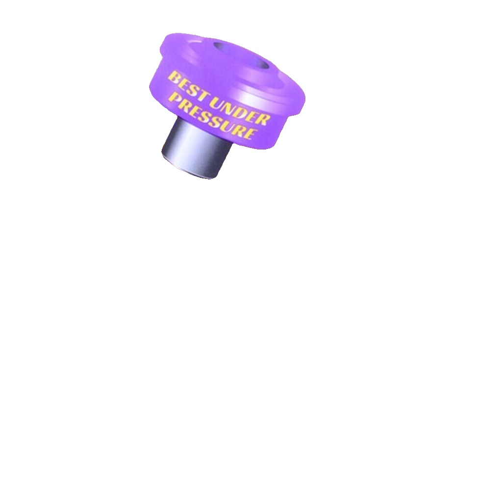 Powerflex Rear Diff Front Mounting Bushes for Legacy BE, BH (98-03) PFR69-415