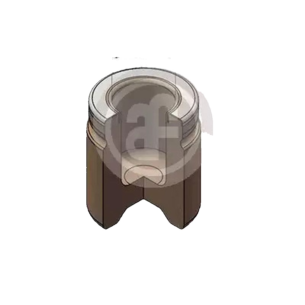 Front AUTOFREN SEINSA D025592 Piston, brake caliper for CHRYSLER,LANCIA