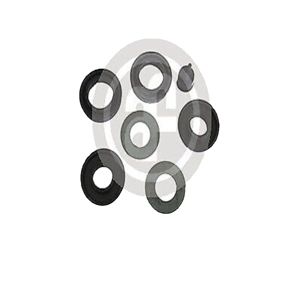 AUTOFREN SEINSA D1432 Repair Kit, brake master cylinder for MITSUBISHI